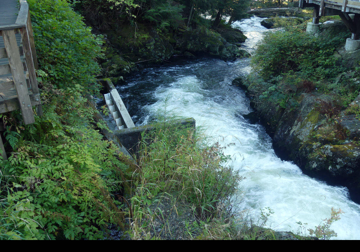 The Ketchikan Creek.