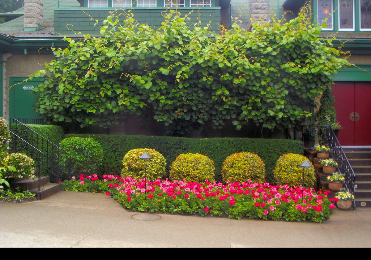 Flower bed and foliage in front of the original Boutchart residence.