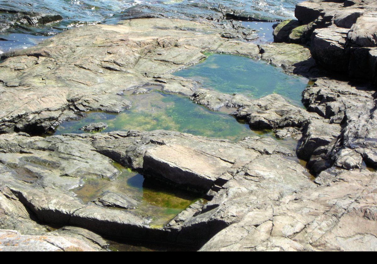 The tidal pools are full of wildlife.