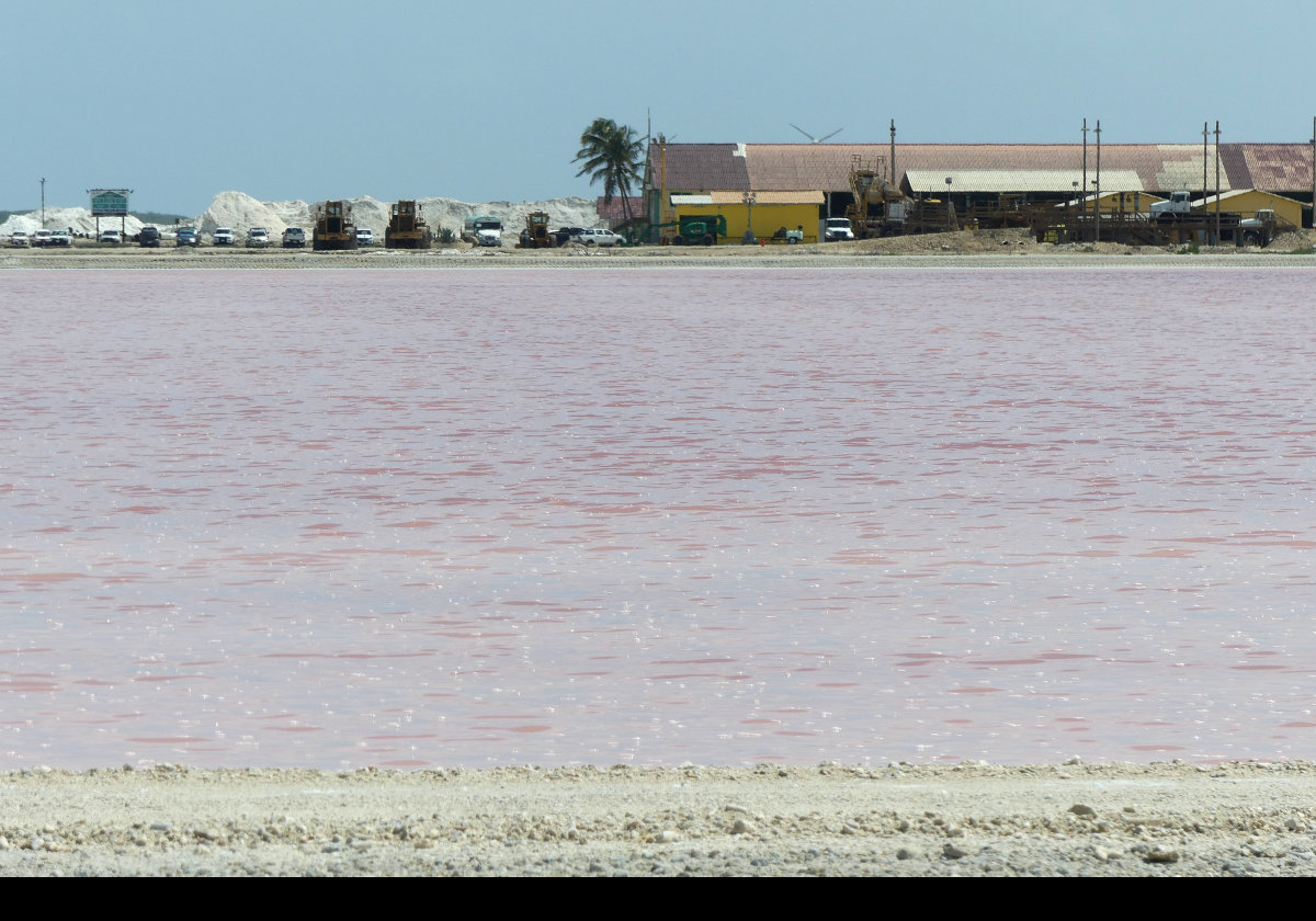 Now, a series of pictures of the salt works on Bonaire.  