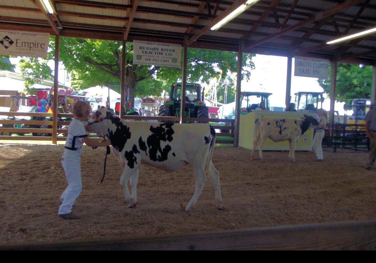 Here the youngsters show off their animal handling prowess.  