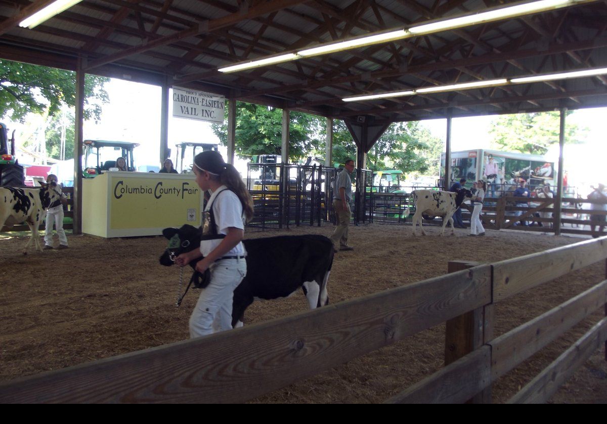 Here the youngsters show off their animal handling prowess.  