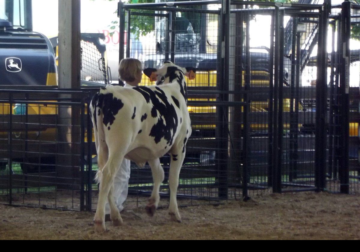 Here the youngsters show off their animal handling prowess.  