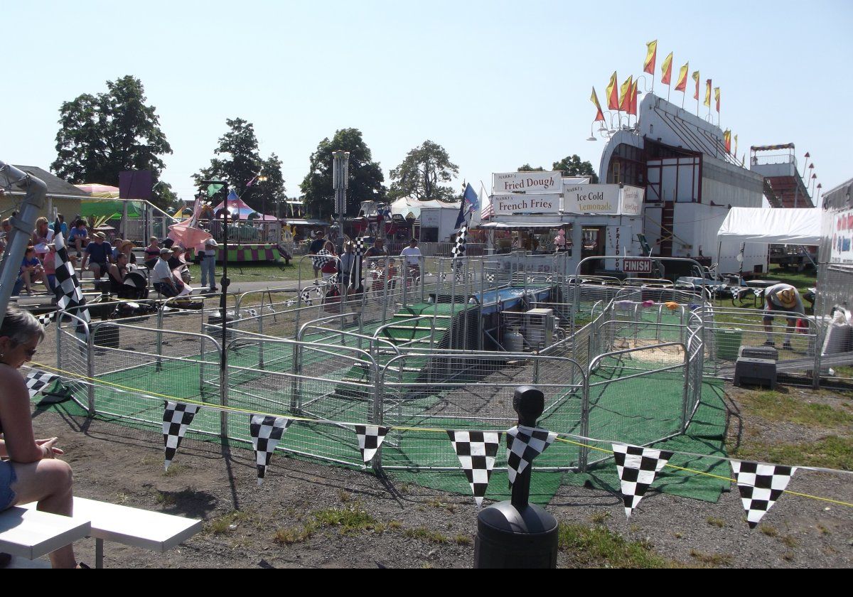 The finale for us today was the piglet racing.  