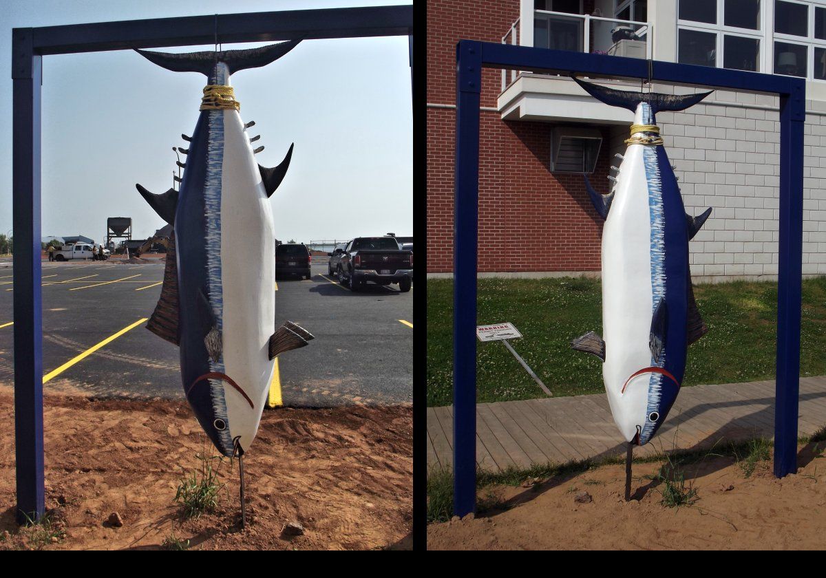 We found this hanging fish "sculpture" on our way from the dock to visit Founders' Hall.  No idea why it was there!