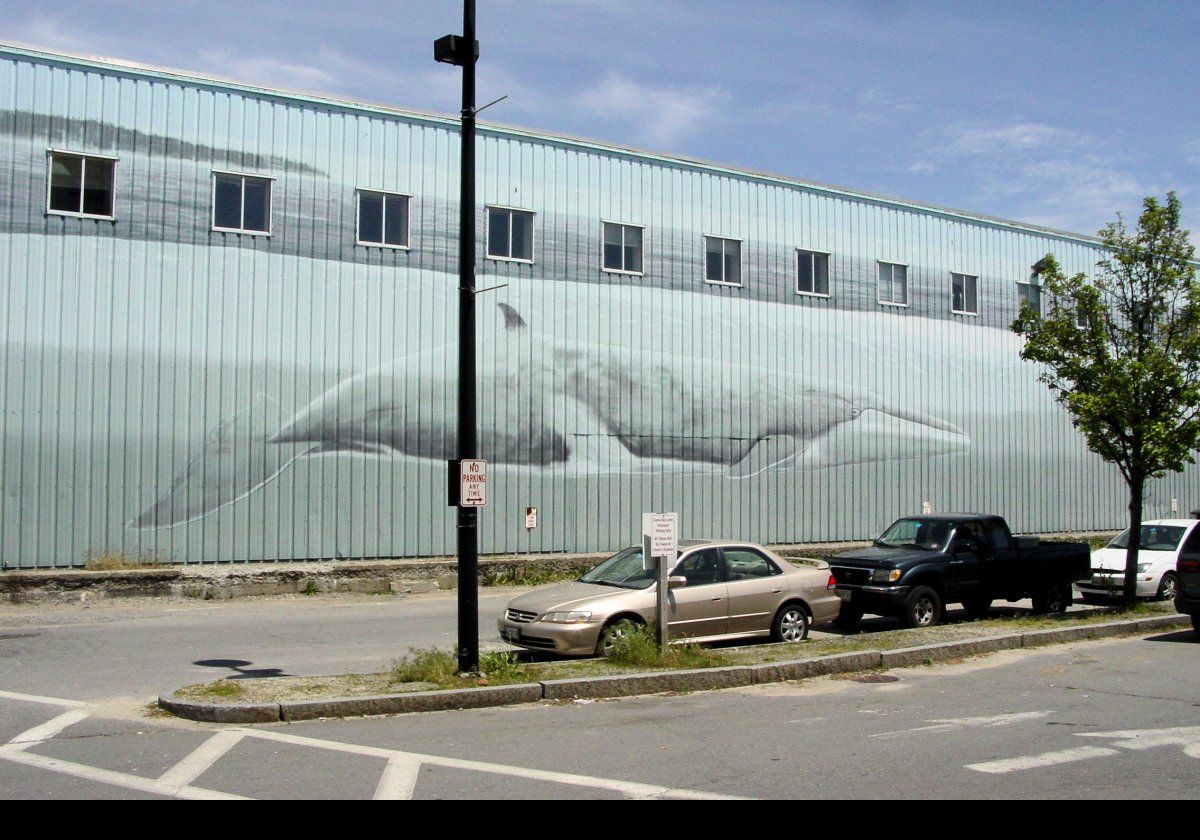 One of the Whaling Wall murals by the artist Wyland (Robert Wyland).  On the side of the Marine State Pier, this one is number WW 36 “Whales off the Coast of Maine”.  It is 1,000 feet long and was dedicated on June 7th, 1993.  Click on the picture for more information about Wyland's whale murals.