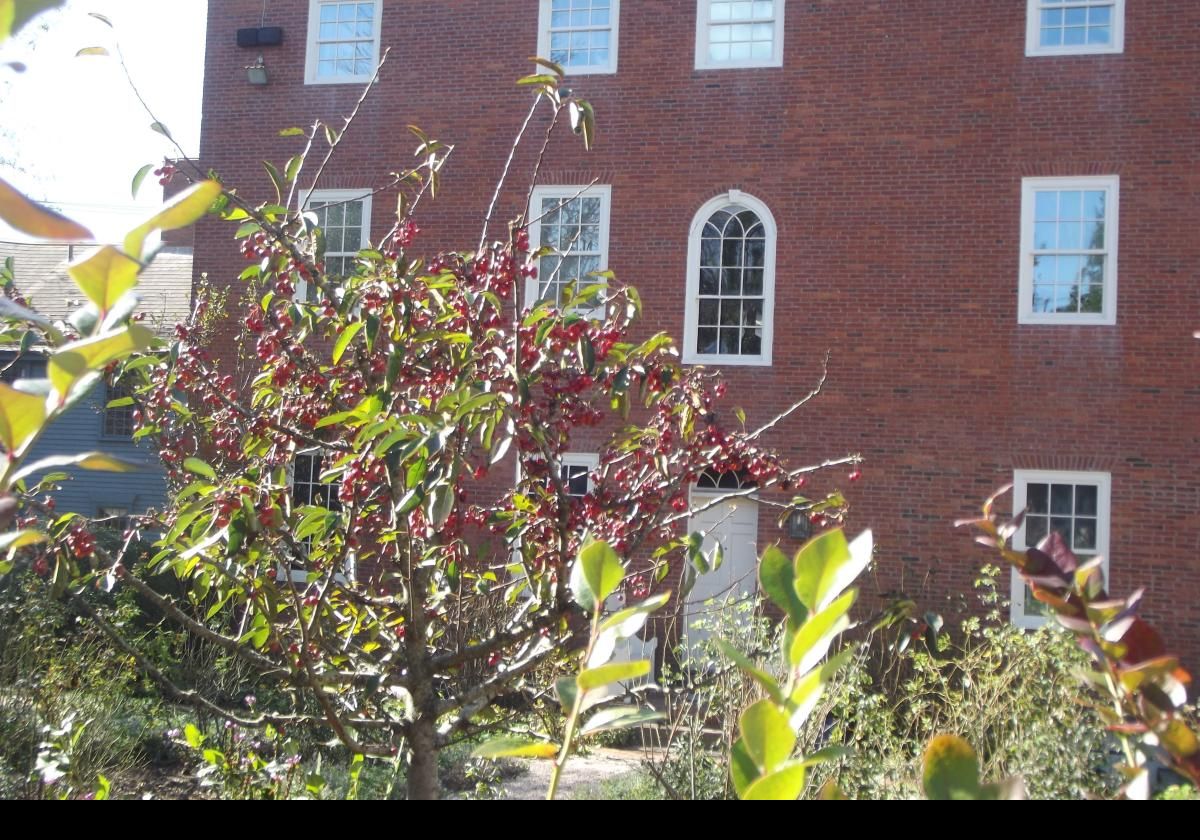 The garden is also notable and contains examples of many plant that would have been found during the Federal era, including several antique roses and fruit trees.  