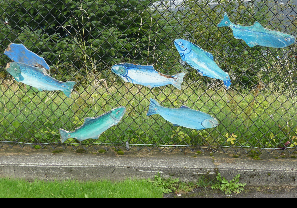 Part of the 'Fish on Fences' program. 
​